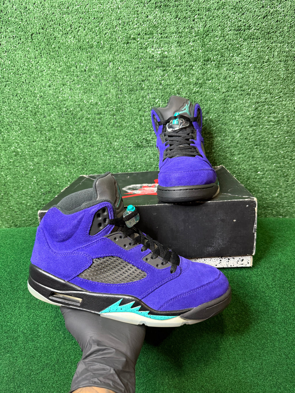 JORDAN 5 RETRO ALTERNATE GRAPE