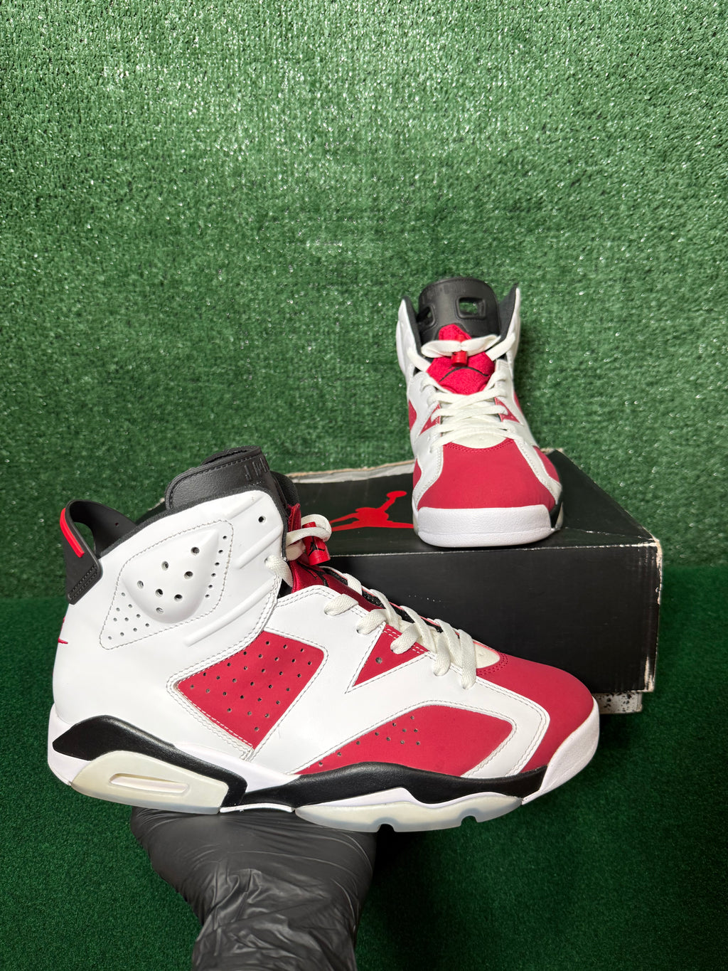 Jordan 6 Retro Carmine (2021)