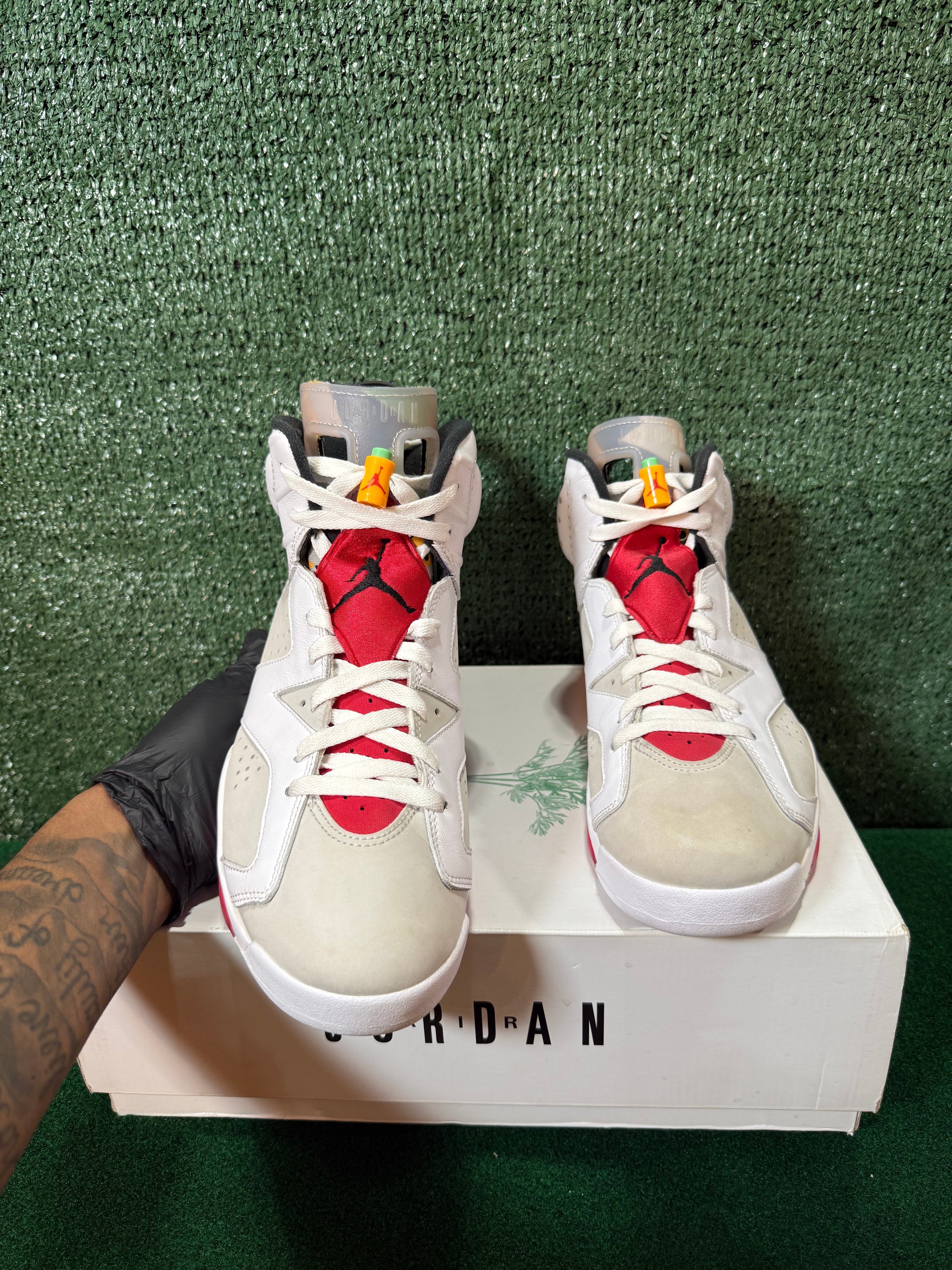 Jordan 6 Retro Hare