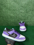 HAYLEY WILSON X NIKE DUNK LOW SB ‘COURT PURPLE’