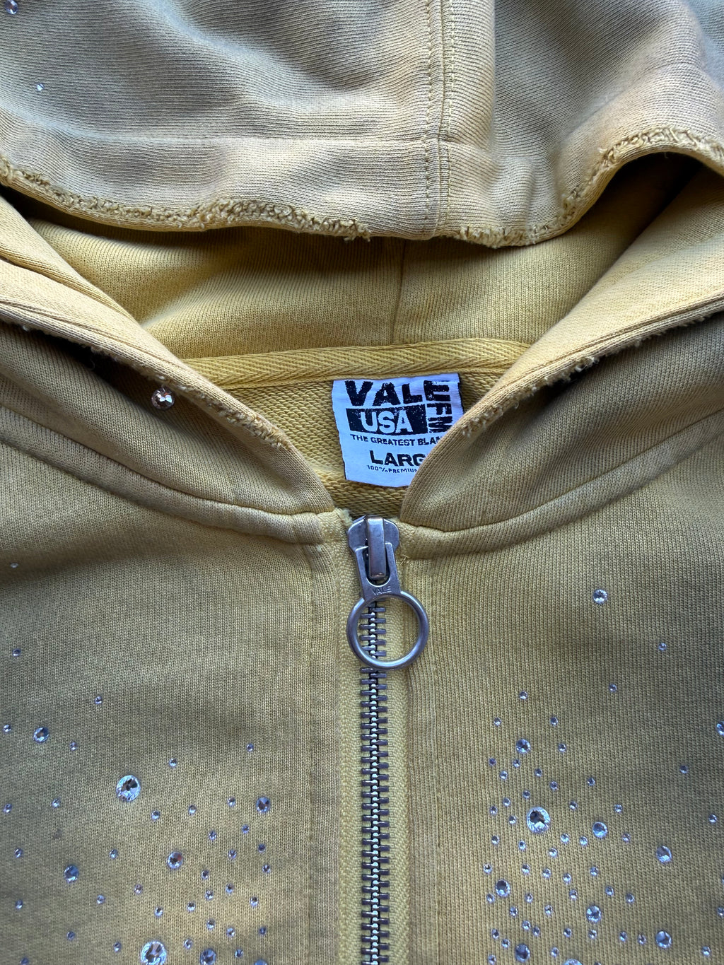 Vale forever sun cluster zip up hoodie
