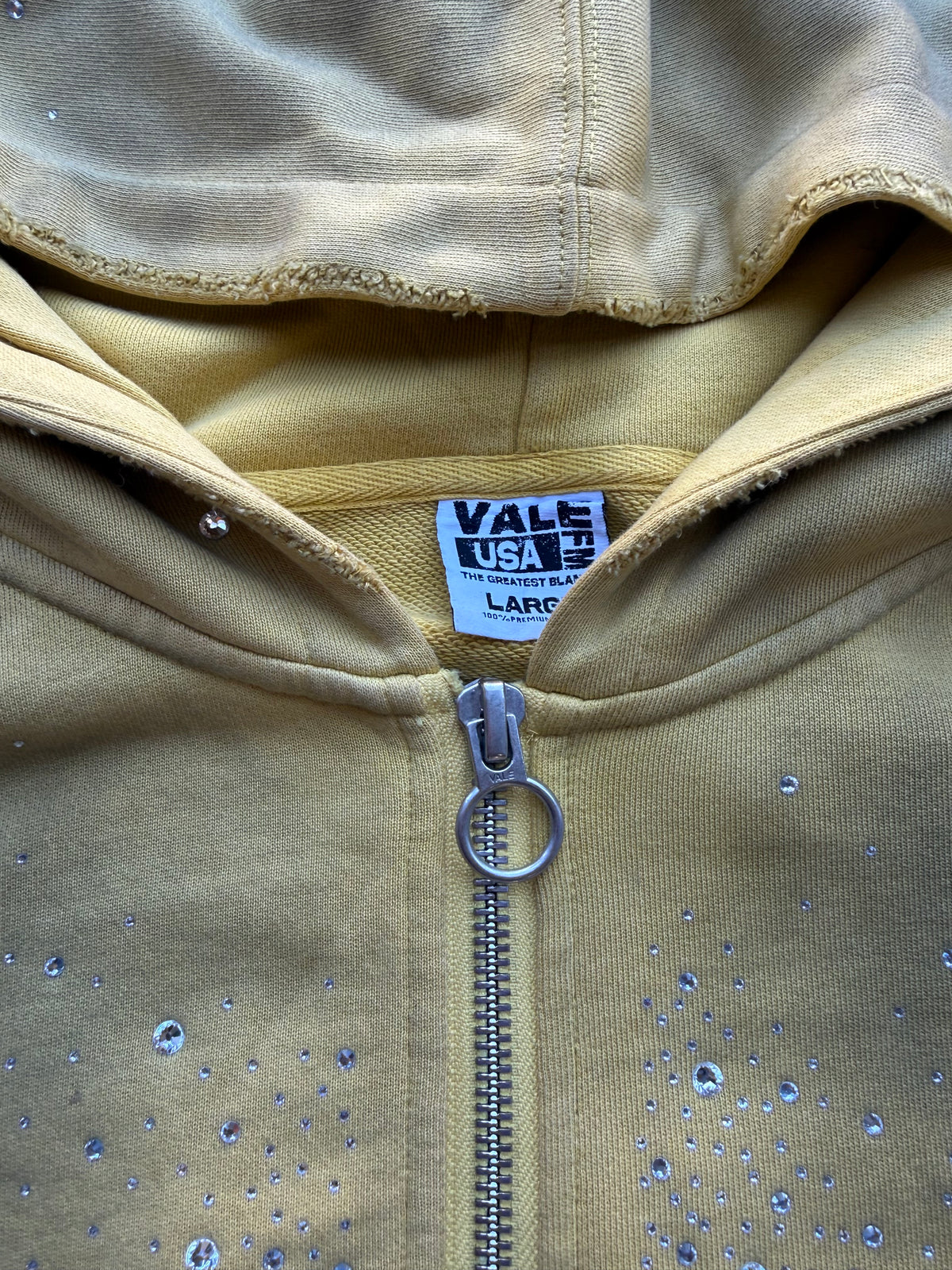 Vale forever sun cluster zip up hoodie