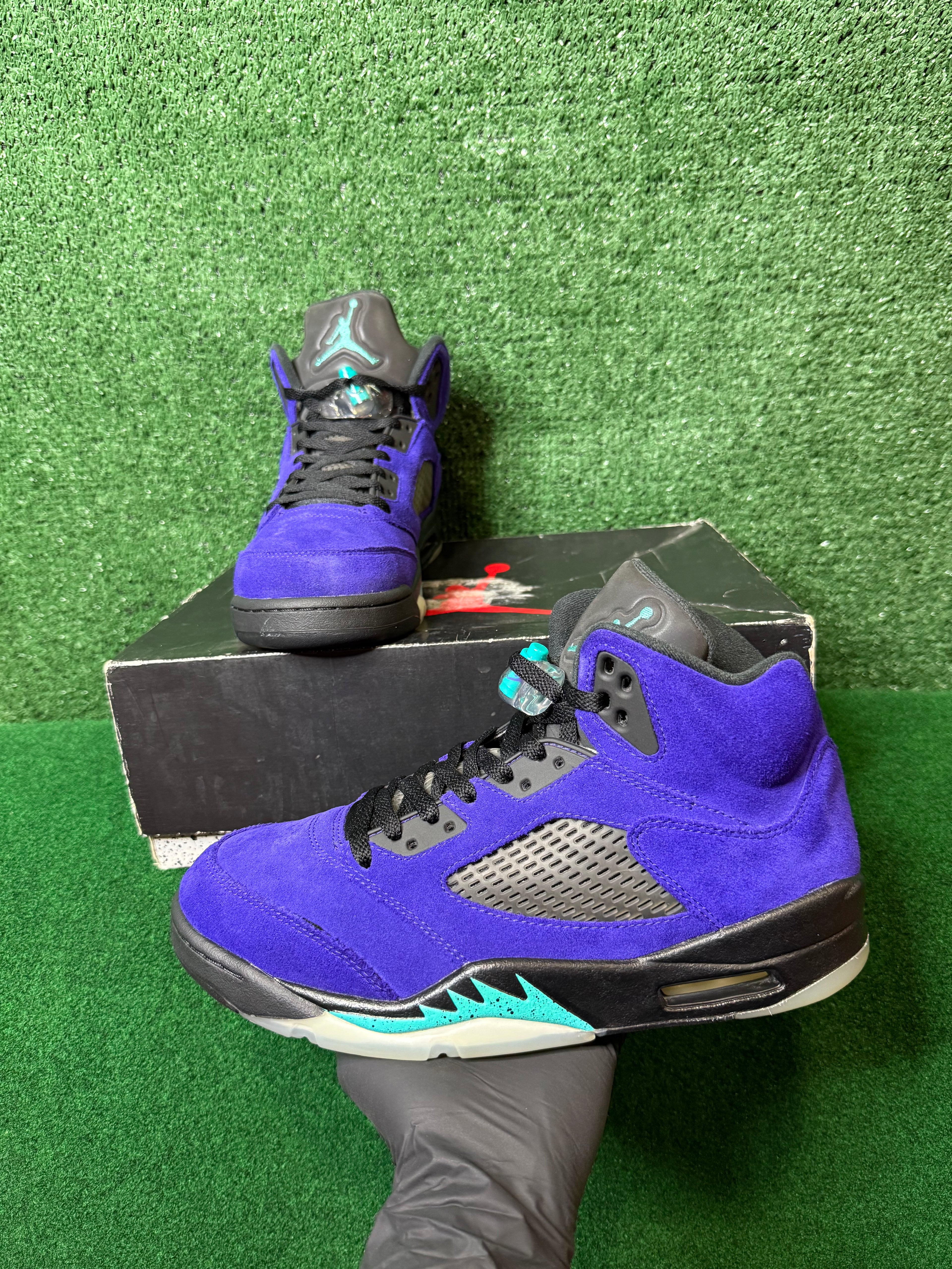 JORDAN 5 RETRO ALTERNATE GRAPE