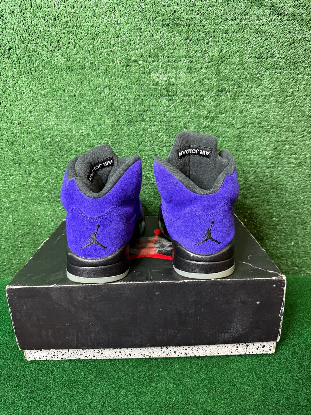JORDAN 5 RETRO ALTERNATE GRAPE