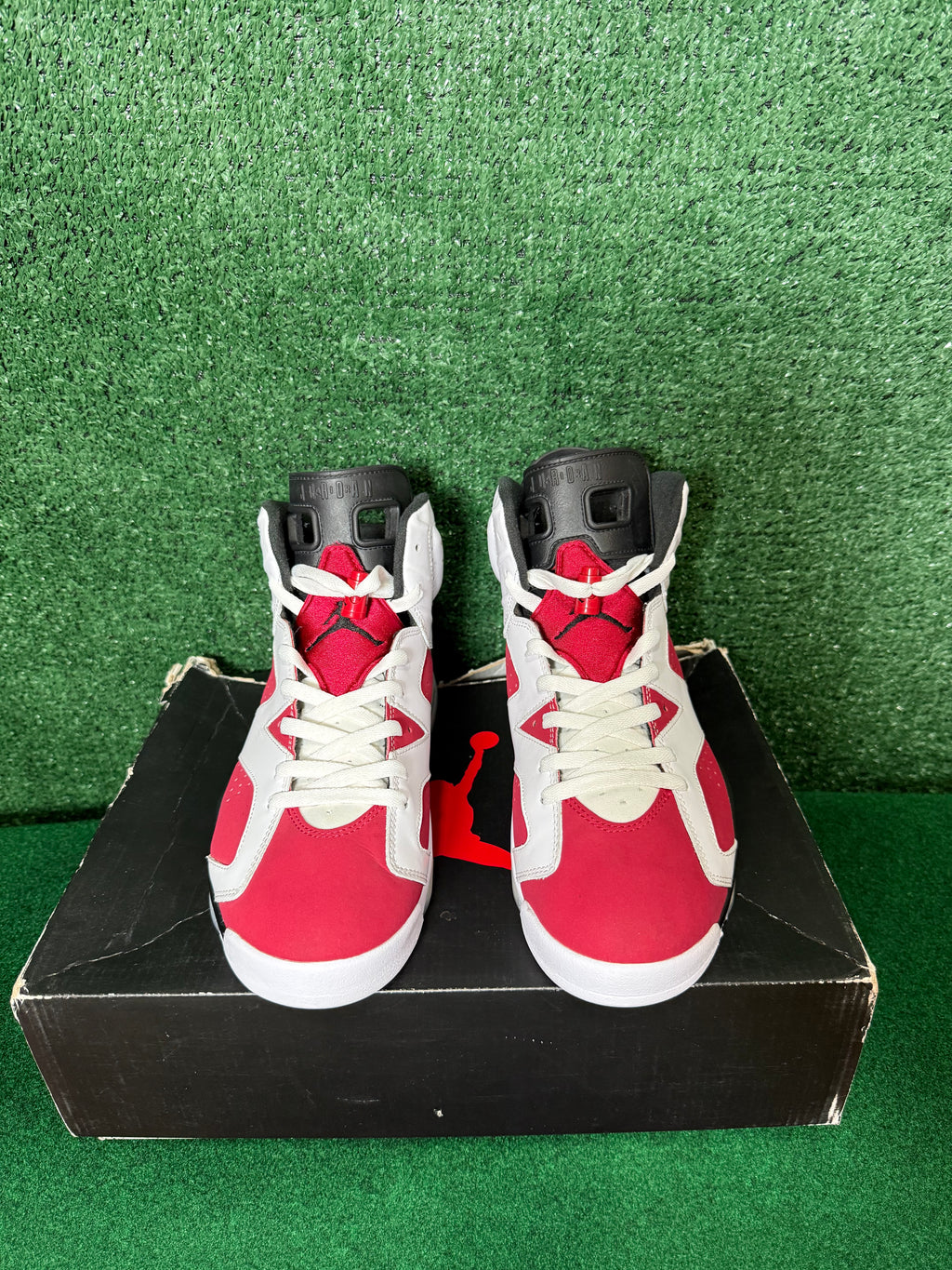 Jordan 6 Retro Carmine (2021)