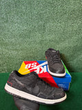 Nike SB Dunk Low Washed Youth